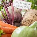 Bed & Breakfast Stella Roana