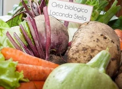 Alojamento de Acomodação e Pequeno-almoço Stella Roana