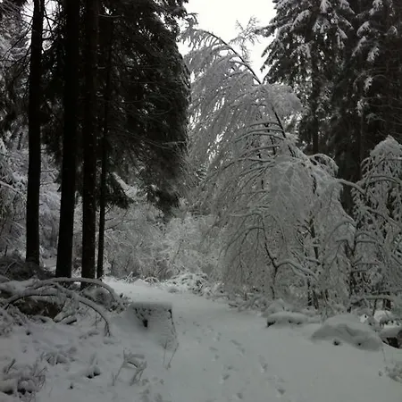 Stella Отель типа 