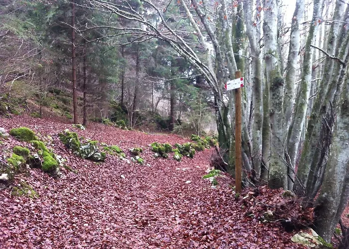 Stella Nocleg ze śniadaniem Roana