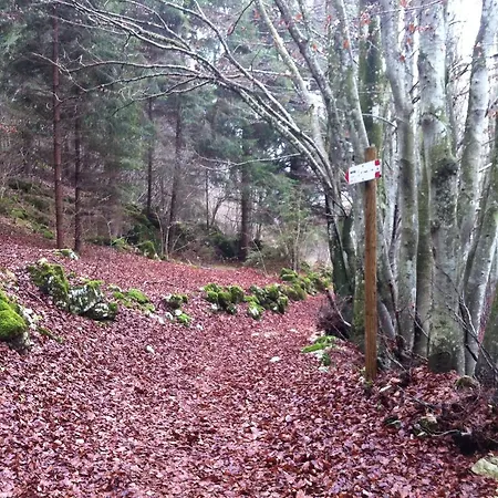 Stella ベッド・アンド・ブレックファスト ロアーナ