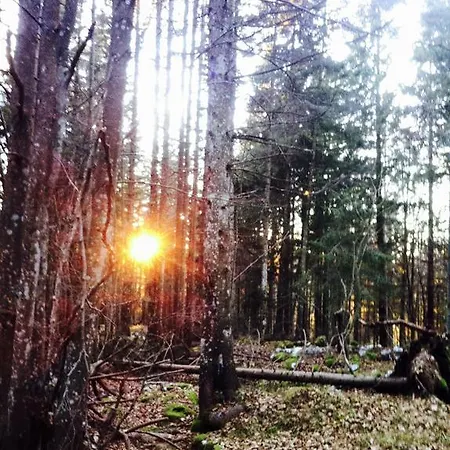 罗堪达阿拉斯特拉住宿加早餐旅馆 3*