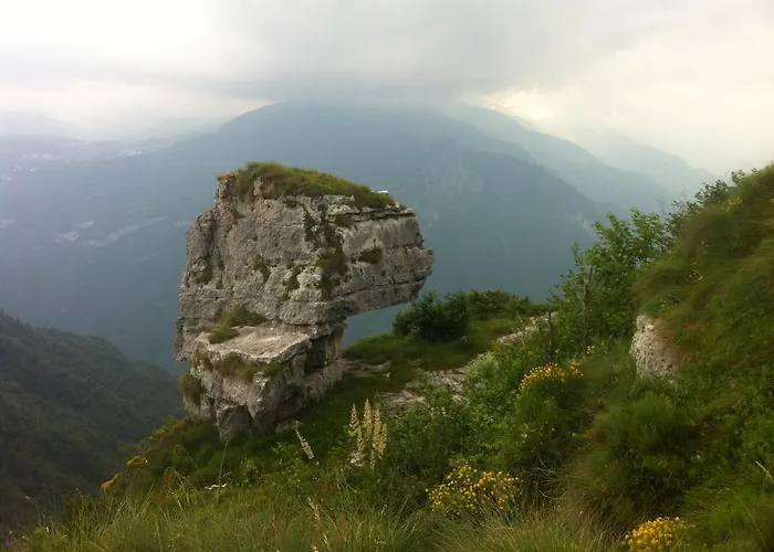 Stella 3* Роана
